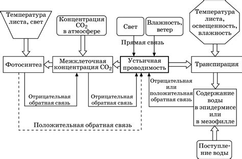 Теплоотвод и охлаждение окружающей среды