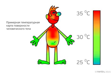 Тепло и сохранение тепла