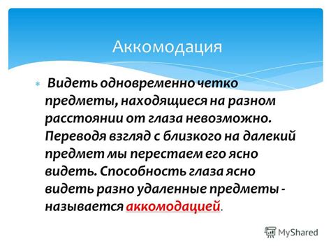 Термовизионный взгляд: уникальная способность видеть тепло