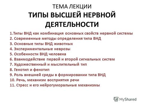 Тестирование для определения типа нервной системы