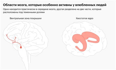 Тест на влюбленность: проверьте, влюблен ли вас парень!