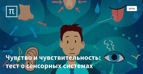 Тест №2: Механическая чувствительность