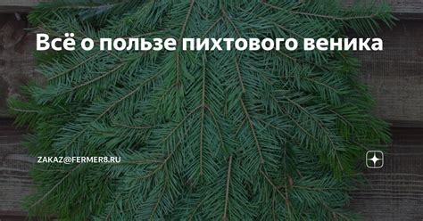 Техника вязания пихтового веника