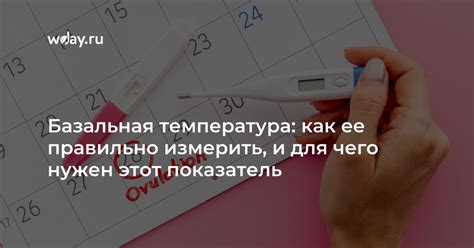 Техника измерения базальной температуры