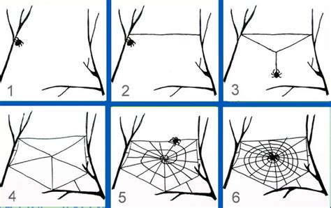 Техника плетения паутины
