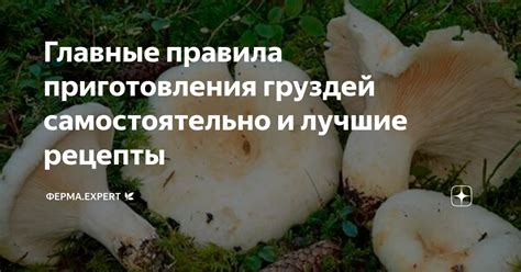 Техника приготовления груздей перед солением