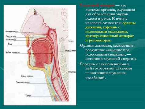 Техники дыхания и произношения для голосовой имитации