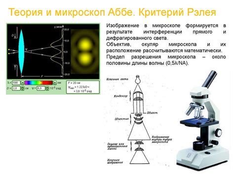 Техники и методы использования микроскопа