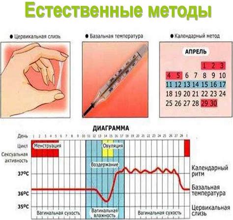 Техники повышения вероятности зачатия в день овуляции