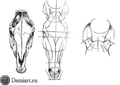 Техники рисования лошади в графическом формате