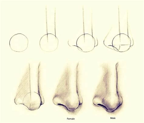 Техники рисования носа