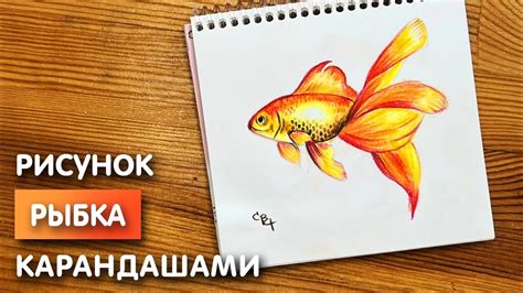 Техники рисования рыбки в акварели