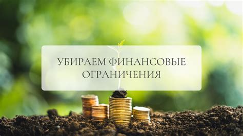 Технические и финансовые ограничения