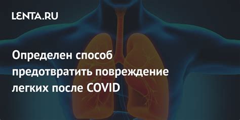 Технические особенности, способные предотвратить повреждение клапанов