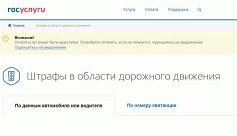 Технические причины неполучения штрафа на госуслугах