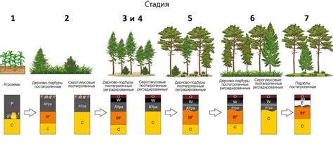 Технологии восстановления растительности