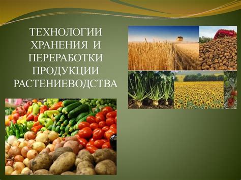 Технологии и рецепты успешной продукции