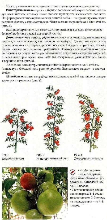 Технология гибрида и его преимущества