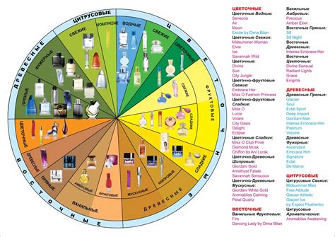 Типы ароматов и их характеристики