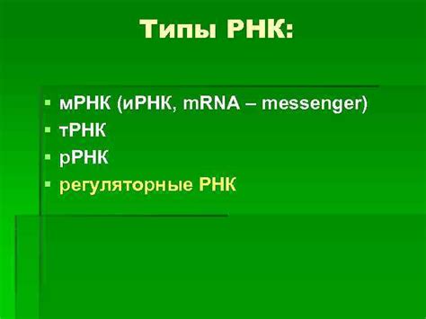 Типы микро РНК