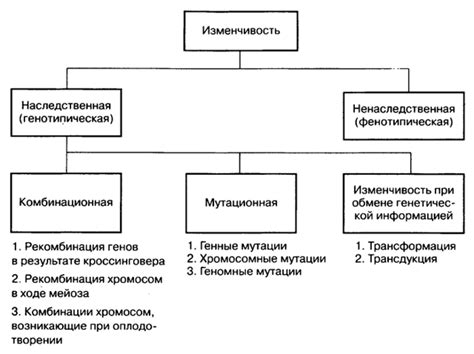 Типы назадачливостей и их проявления