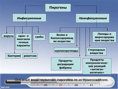 Типы нарушений закона