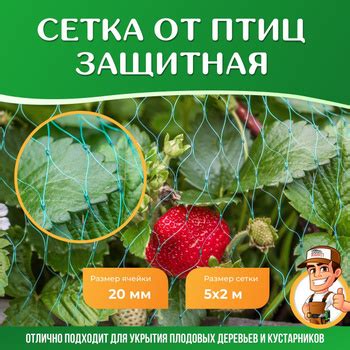 Типы сеток от птиц