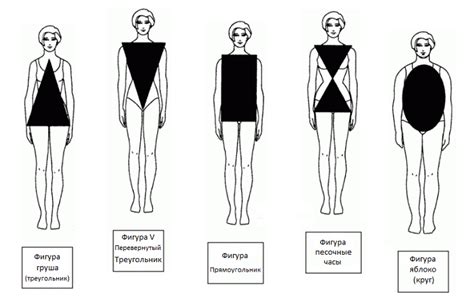 Типы телосложения и способы определения своего типа