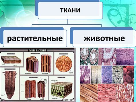 Типы ткани и наполнителя