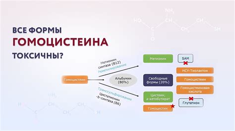 Токсический эффект на мозг