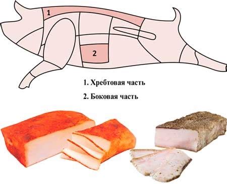 Тонкости хранения шпика