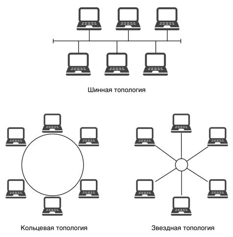 Топология сети и принципы работы разветвителя