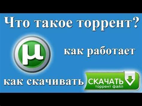 Торрент-трекеры и пиратские ресурсы