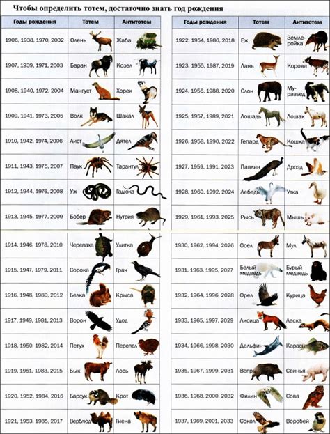 Тотемное животное по году рождения: как расшифровать название