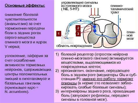 Точка как сигнал окончания