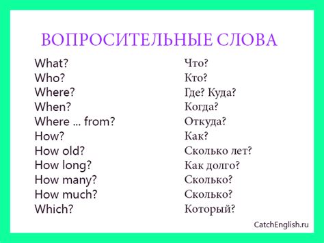 Точный перевод слова "обезьяна" на английском: выбор правильного варианта