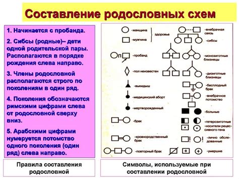 Традиционный метод составления генеалогической родословной