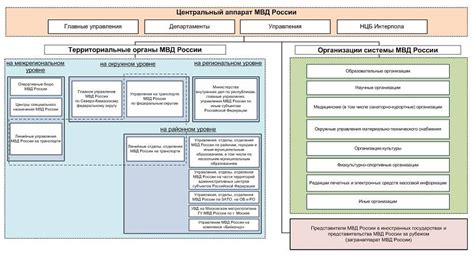 Требования МВД к зрению сотрудников и их значение