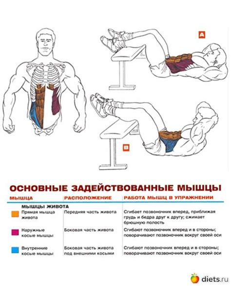 Тренируй нижние мышцы пресса: упражнения от профессионалов