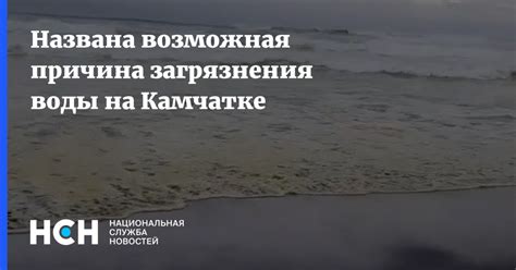 Третья возможная причина черной воды