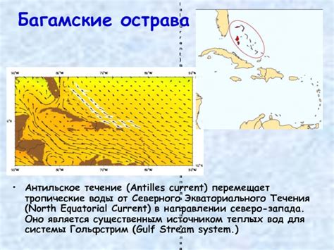 Тропические течения