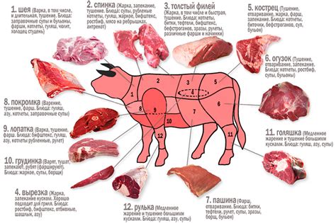 Туша мяса: секреты долговременного сохранения