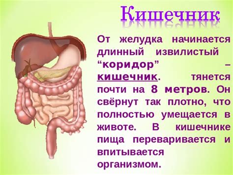 Тяжело переваривается организмом