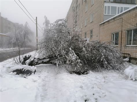 Убедитесь, что аватарки остаются отключенными