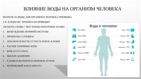 Убеждение в перспективности безопасности кипяченой воды