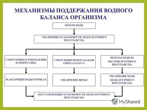 Увеличение вазопрессина: последствия для организма