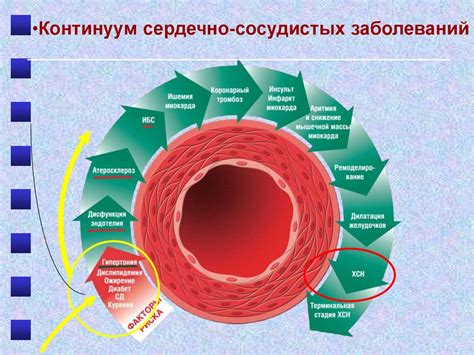 Увеличение нагрузки на сердце