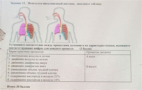 Увеличение общего объема дыхания