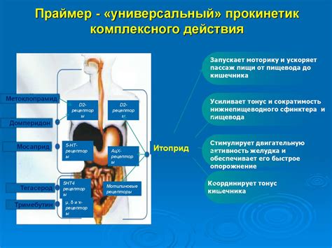 Увеличение риска расстройств желудочно-кишечного тракта