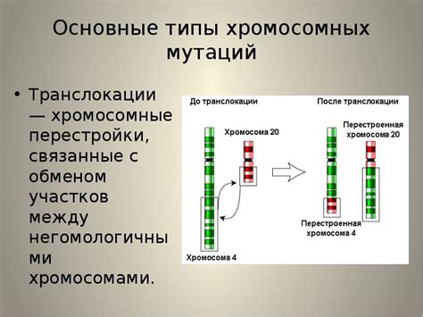 Увеличение частоты мутаций: основные причины и механизмы